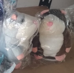 CUY HAMSTER HABLADOR