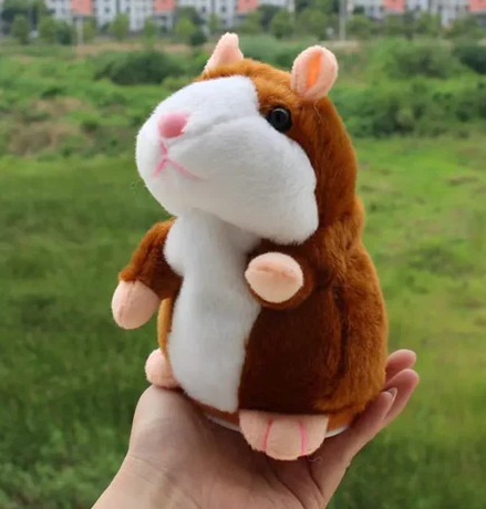 CUY HAMSTER HABLADOR