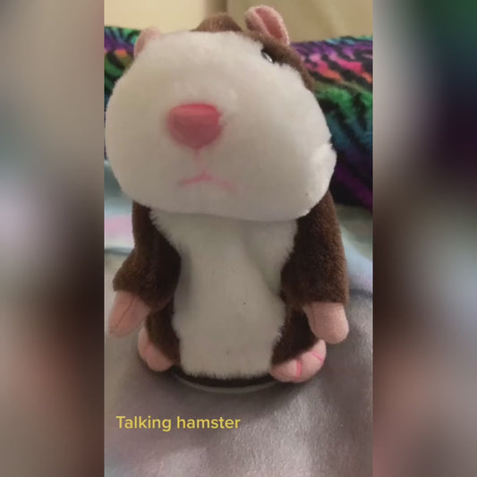 CUY HAMSTER HABLADOR